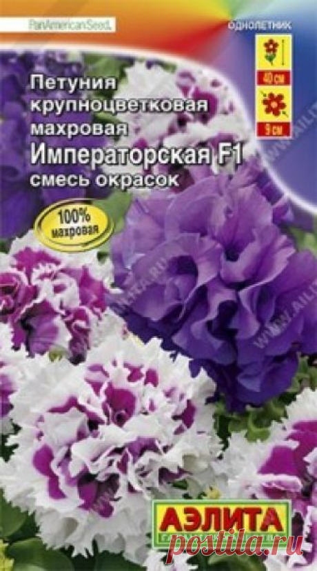 Семена. Петуния "Императорская F1", крупноцветковая махровая смесь окрасок, однолетник (драже в пробирке, 10 штук) Всхожесть: 94%.
100% махровая! Впечатляющая смесь с эффектными крупными цветками диаметром 8-9 см. Будет радовать обильным цветением с мая до конца сезона. Кустики крепкие, хорошо разветвленные, высотой до 40 см и шириной до 30 см. Растения в уходе достаточно неприхотливые, жаростойкие...