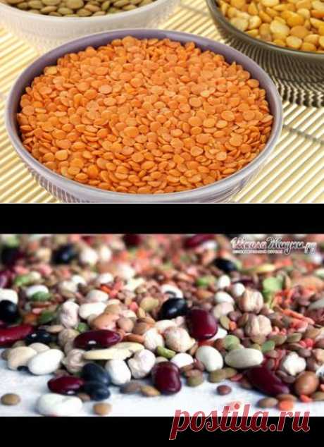 Чечевица. Продукт, который мы потеряли? | Еда и кулинария