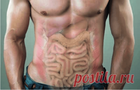 Признаки наличия токсинов в организме &amp;#8212; Диеты со всего света