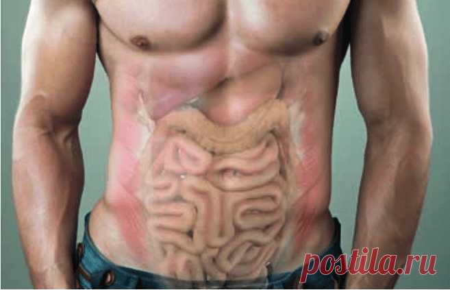 Признаки наличия токсинов в организме &#8212; Диеты со всего света