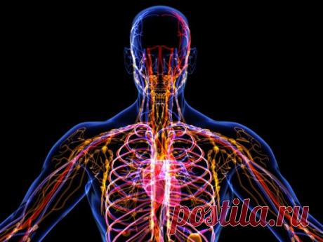 Ольга Бутакова: Лимфатическая система, о чем не знают 90% врачей