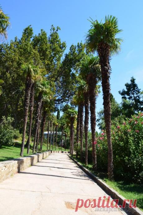 Опять Крым часть 1