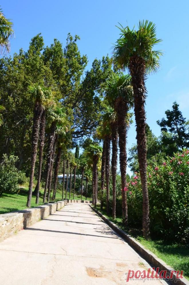 Опять Крым часть 1