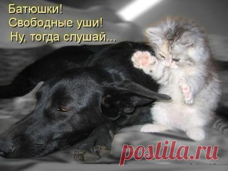 Интересные новости