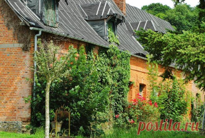 Умиротворяющие сельские пейзажи Нормандии