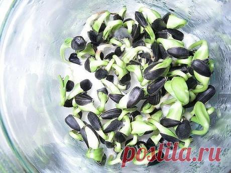 "Встретил я недавно своего давнего друга, да вначале и не узнал его.
Человеку за сорок, а на лице - ни морщинки, кожа чистая, розовая. 
Как в 20 лет. 
Потом разглядел, обнялись, разговорились и рассказал тот свою историю: несколько лет назад поехал в своё родное село и показали ему мужичка и спросили, сколько тому лет на вид: "60 лет", - отвечаю.
Ан нет, говорят, - 97 лет ему!"
И свели с тем мужичком-дедком. Дедок же рассказал свою историю: 
"В 40 лет поставили мне диагноз...