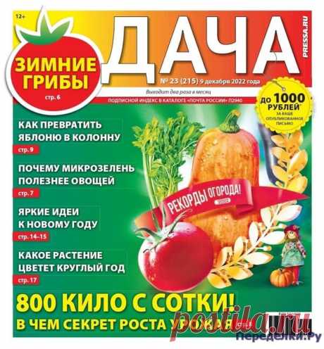 Дача №23 2022 * Переделки.Ру Дача №23 2022 Читать журнал ОНЛАЙН