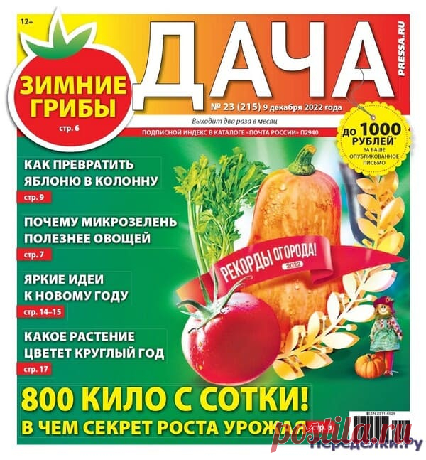 Дача №23 2022 * Переделки.Ру Дача №23 2022 Читать журнал ОНЛАЙН