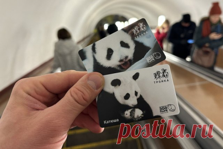 Новая карта «Тройка» с изображением малышки-панды. Обожатели медвежонка Катюши могут купить такие карты на «Трубной» и «Маяковской».