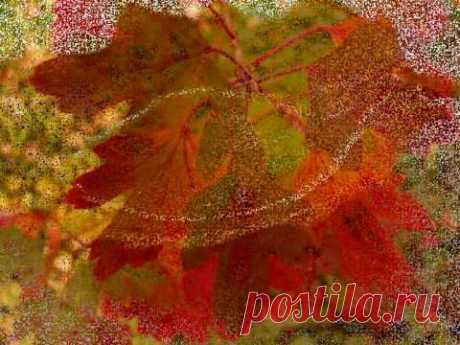 ЯРКОЙ ОСЕНИ ДРУЗЬЯ!!! | ♥♥♥✿САМЫЕ ДОБРЫЕ ПОЖЕЛАНИЯ ДЛЯ ДРУЗЕЙ✿♥♥♥ | Группы Мой Мир