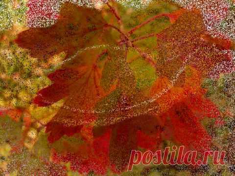 ЯРКОЙ ОСЕНИ ДРУЗЬЯ!!! | ♥♥♥✿САМЫЕ ДОБРЫЕ ПОЖЕЛАНИЯ ДЛЯ ДРУЗЕЙ✿♥♥♥ | Группы Мой Мир