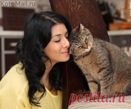 ЕЩЁ КОТЭ | KotoMail.ru