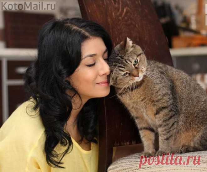 ЕЩЁ КОТЭ | KotoMail.ru