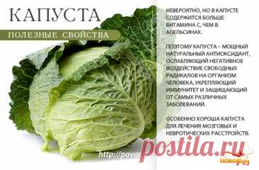 Капуста полезные свойства
