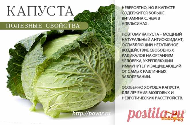 Капуста полезные свойства