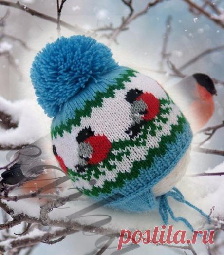 Вяжем тёплый зимний комплект со снегирями или пингвинами — DIYIdeas