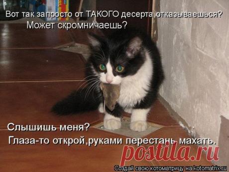 Все гармонично | Обхохочешься