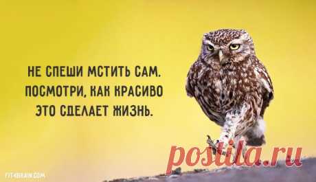 Совет дня – Фитнес для мозга