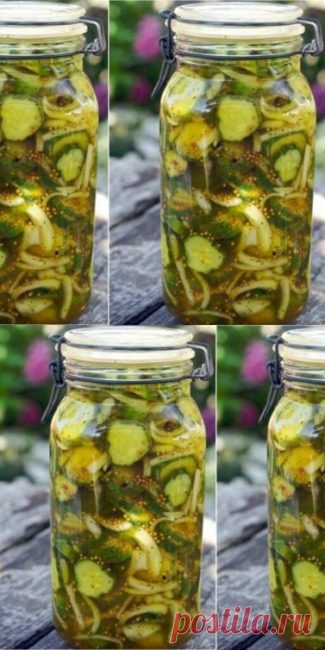 Пряные огурцы на зиму Пикули: крупные огурцы в самый раз! - Счастливые заметки
