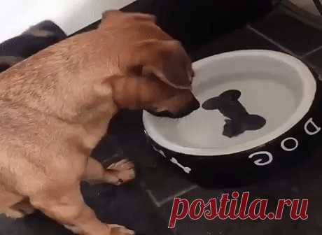 Вот так и живём в иллюзиях )) Вот так и живём в иллюзиях ))