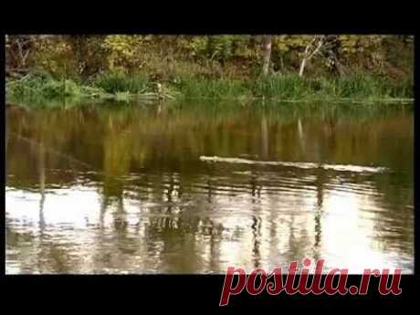 Реверсивный кораблик