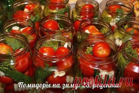 ➡ Моя Уютная Дача, сад и огород ✔ Подпишись