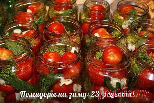 ➡ Моя Уютная Дача, сад и огород ✔ Подпишись