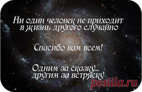 Жизнь такая