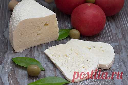 Домашний сыр, ряженка, катык: готовим молочные продукты дома