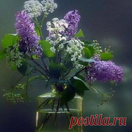 Букет