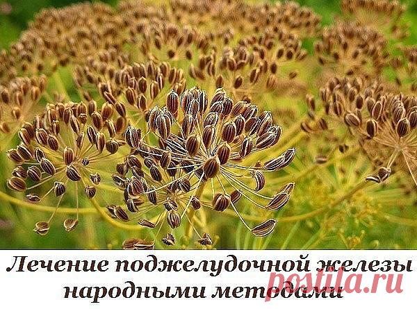 Лечение поджелудочной железы народными методами

Поджелудочная железа — один из важных внутренних органов человеческого тела, который отвечает за наше пищеварение. Сбой в работе поджелудочной чреват осложнениями и целым рядом заболеваний, таких как панкреатит или сахарный диабет. К счастью, есть прекрасные народные средства, которые помогают лечить этот орган не хуже лекарств. Если у тебя есть проблемы с этим важнейшим органом — наша статья для тебя!
Показать полностью…