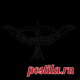Контакты Яны Пасынковой