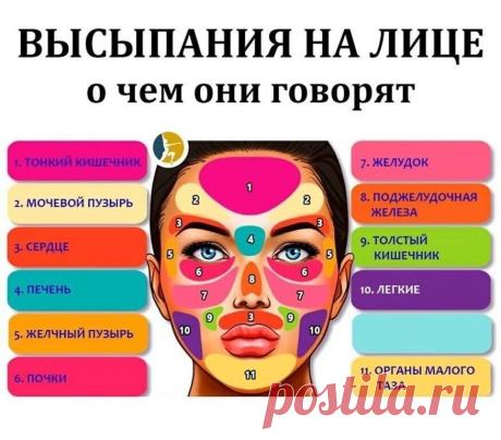 Полезно знать . Советы , Лайфаки . — Фото | OK.RU