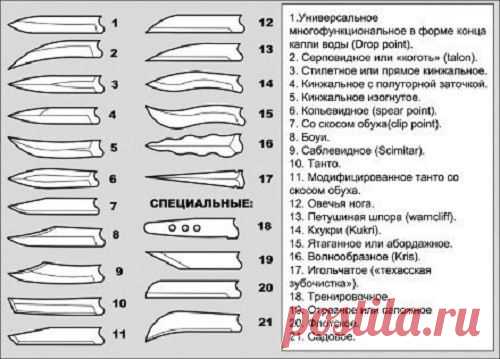 Анатомия ножа: клинок и рукоятка