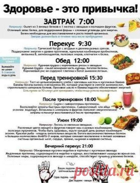 Лучшая памятка по питанию.
Забирайте на стену, чтобы не потерять.
