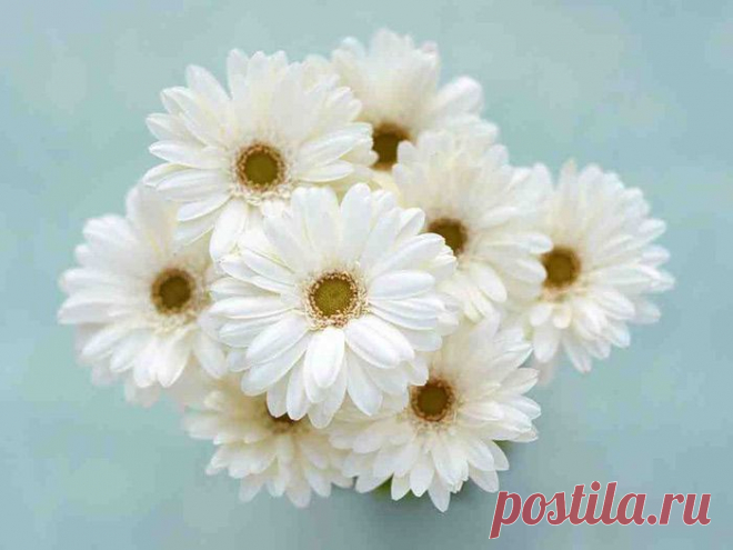 Сода лечит - это факт!.