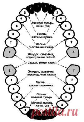 ШИФРОВКА ОТ КЛЫКОВ  Дневник Елена-надежда