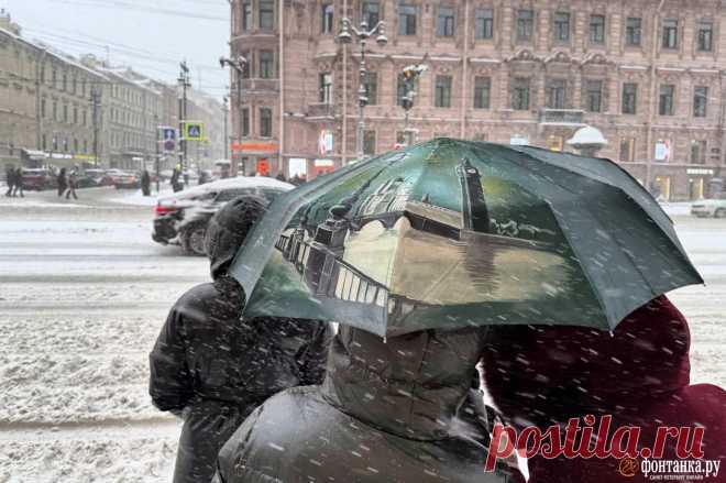 Снегопад в Петербурге прекратился - 12 января 2025 - ФОНТАНКА.ру