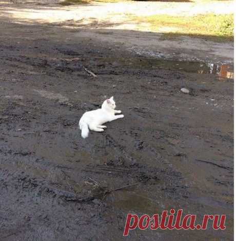 На это больно смотреть