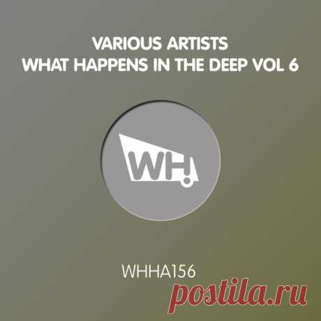 VA - What Happens In The Deep Vol 6 WHHA156 » MinimalFreaks.co