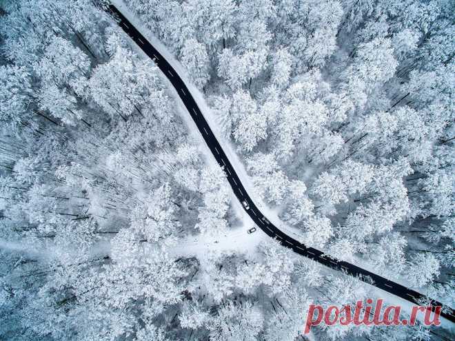 Лучшие фото этого года — ноль фотошопа, но море души! - У нас так
