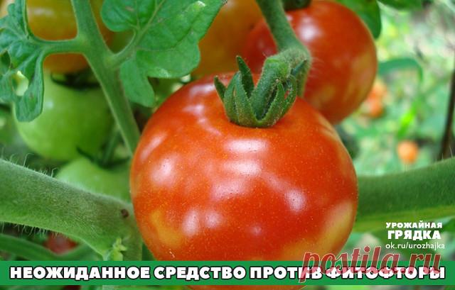 (55) Одноклассники