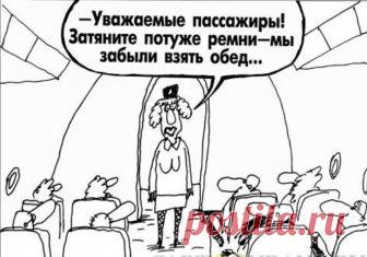 Культурным, все же, быть выгодно — Убойный юмор - amworld