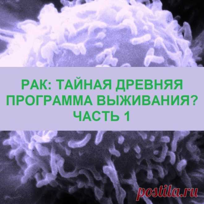 РАК: ТАЙНАЯ ДРЕВНЯЯ ПРОГРАММА ВЫЖИВАНИЯ? ЧАСТЬ 1