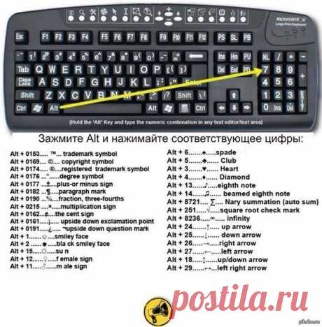 Новости