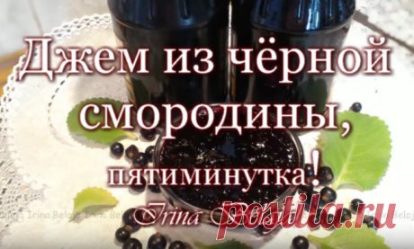 ДЖЕМ ИЗ ЧЕРНОЙ СМОРОДИНЫ, пятиминутка | Irina Belaja - YouTube