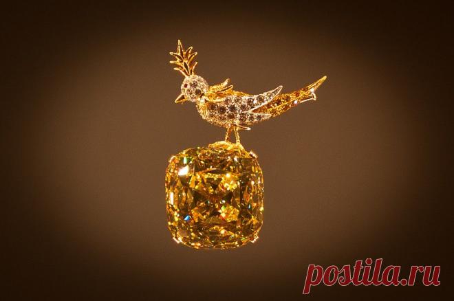 НОВОСТИ В ФОТОГРАФИЯХ