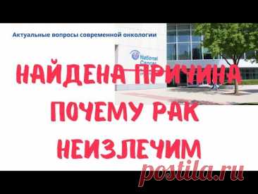 Почему рак остаётся неизлечимым: открытие учёных