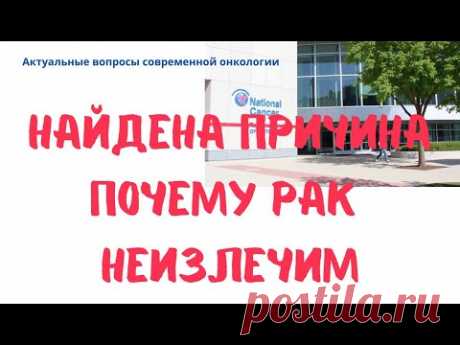 Почему рак остаётся неизлечимым: открытие учёных