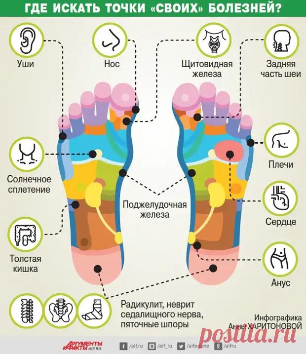 Где искать точки против болезней... - Познавательный сайт ,,1000 мелочей